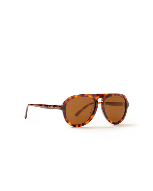 brown sunglasses with tortoise frame
